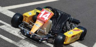 Ayrton Senna Kart